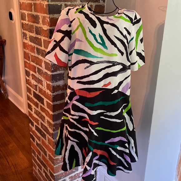 ASOS zebra print short sleeve dress - Picture 1 of 6